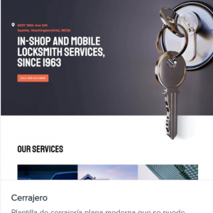 Tienda 10 diseñowebpuerto