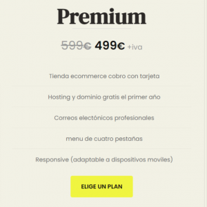 Tienda 17 Servicios de Diseno Web en Vistahermosa El Puerto de Santa Maria Impulsa tu presencia en linea co 2